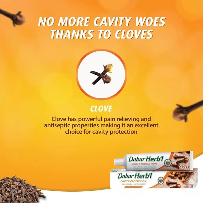 Dabur Herbal Clove Toothpaste 2x150g | Cavity Protection with Natural Clove Extract | No Fluoride or Harsh Chemicals | Strong Teeth & Fresh Breath | Ayurvedic Oral Care - Damoo