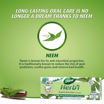 Dabur Herbal Neem Toothpaste with Natural Calcium – 150g + Free Toothbrush | Fluoride-Free Natural Toothpaste for Healthy Gums, Cavity Protection & Long-Lasting Fresh Breath - Damoo