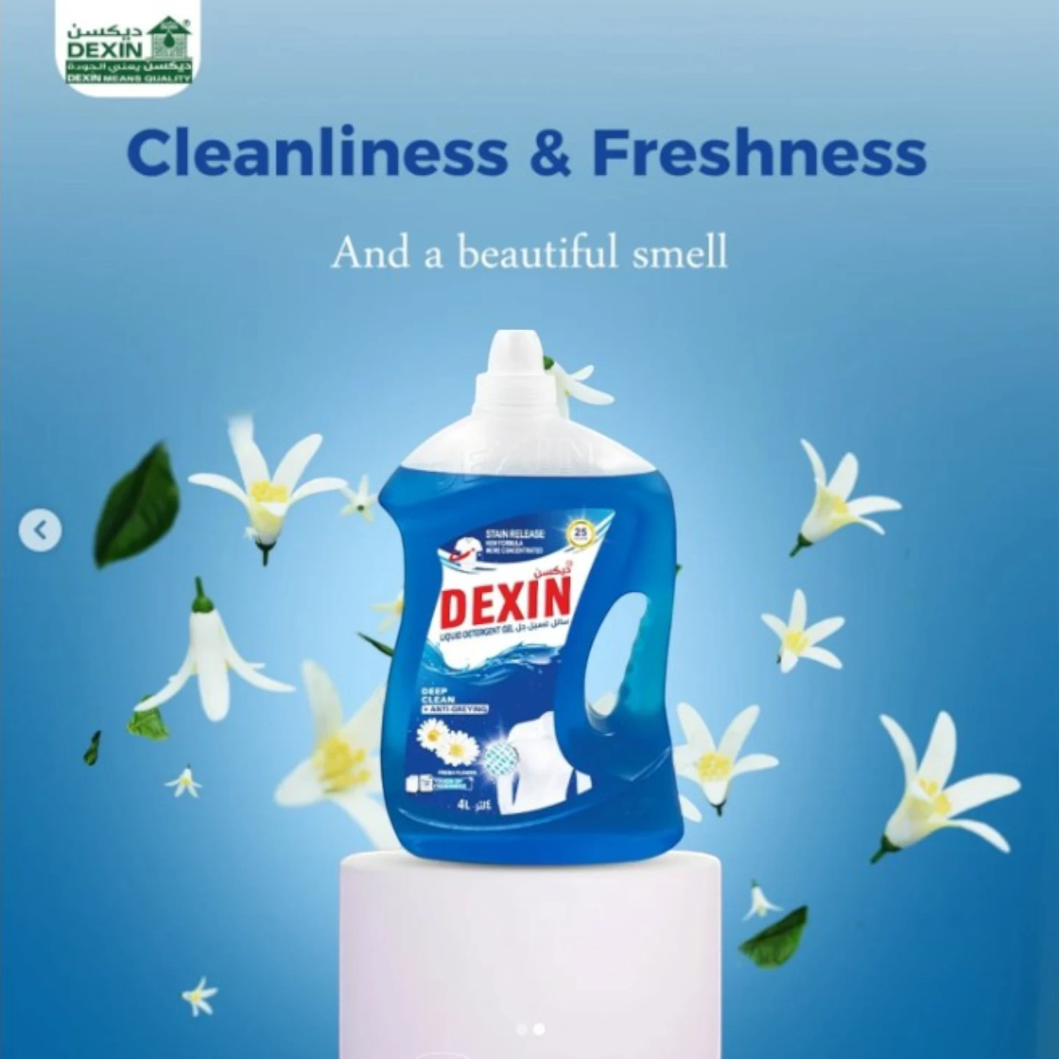 Dexin Liquid Detergent Gel – 4L | Powerful Stain Removal & Fresh Scent | Family-Sized Laundry Detergent - Damoo