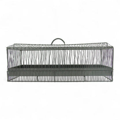 Durable Multipurpose Serving Tray with Shatter-Resistant Base & Insect-Proof Metal Mesh Dome – Ideal for Elegant Fruit, Pastry, and Dessert Presentation Indoors or Outdoors - Damoo