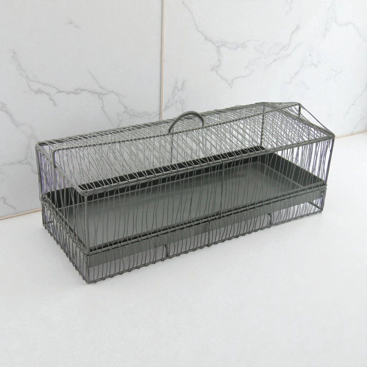 Durable Multipurpose Serving Tray with Shatter-Resistant Base & Insect-Proof Metal Mesh Dome – Ideal for Elegant Fruit, Pastry, and Dessert Presentation Indoors or Outdoors - Damoo