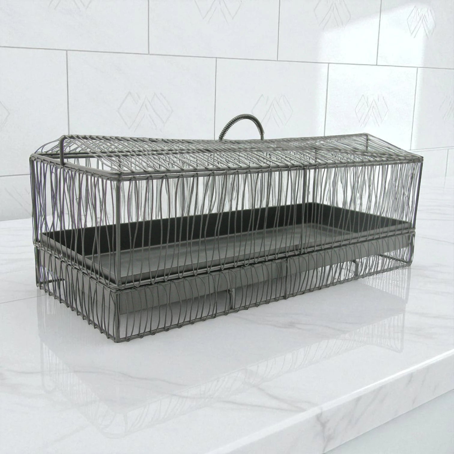 Durable Multipurpose Serving Tray with Shatter-Resistant Base & Insect-Proof Metal Mesh Dome – Ideal for Elegant Fruit, Pastry, and Dessert Presentation Indoors or Outdoors - Damoo
