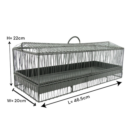 Durable Multipurpose Serving Tray with Shatter-Resistant Base & Insect-Proof Metal Mesh Dome – Ideal for Elegant Fruit, Pastry, and Dessert Presentation Indoors or Outdoors - Damoo