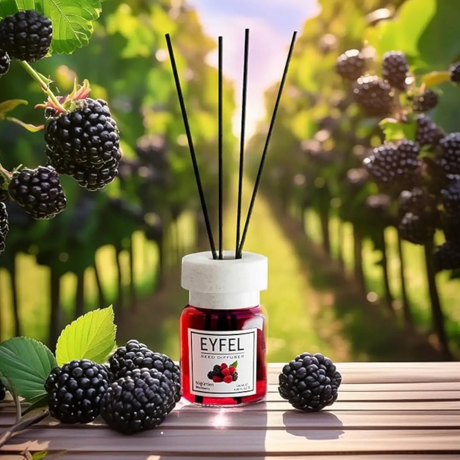 EYFEL Blackberry Reed Diffuser Set – 4.05 fl oz Long-Lasting Fragrance with Natural Sticks | Elegant Glass Oil Diffuser for Home, Bathroom & Office Aromatherapy - Damoo