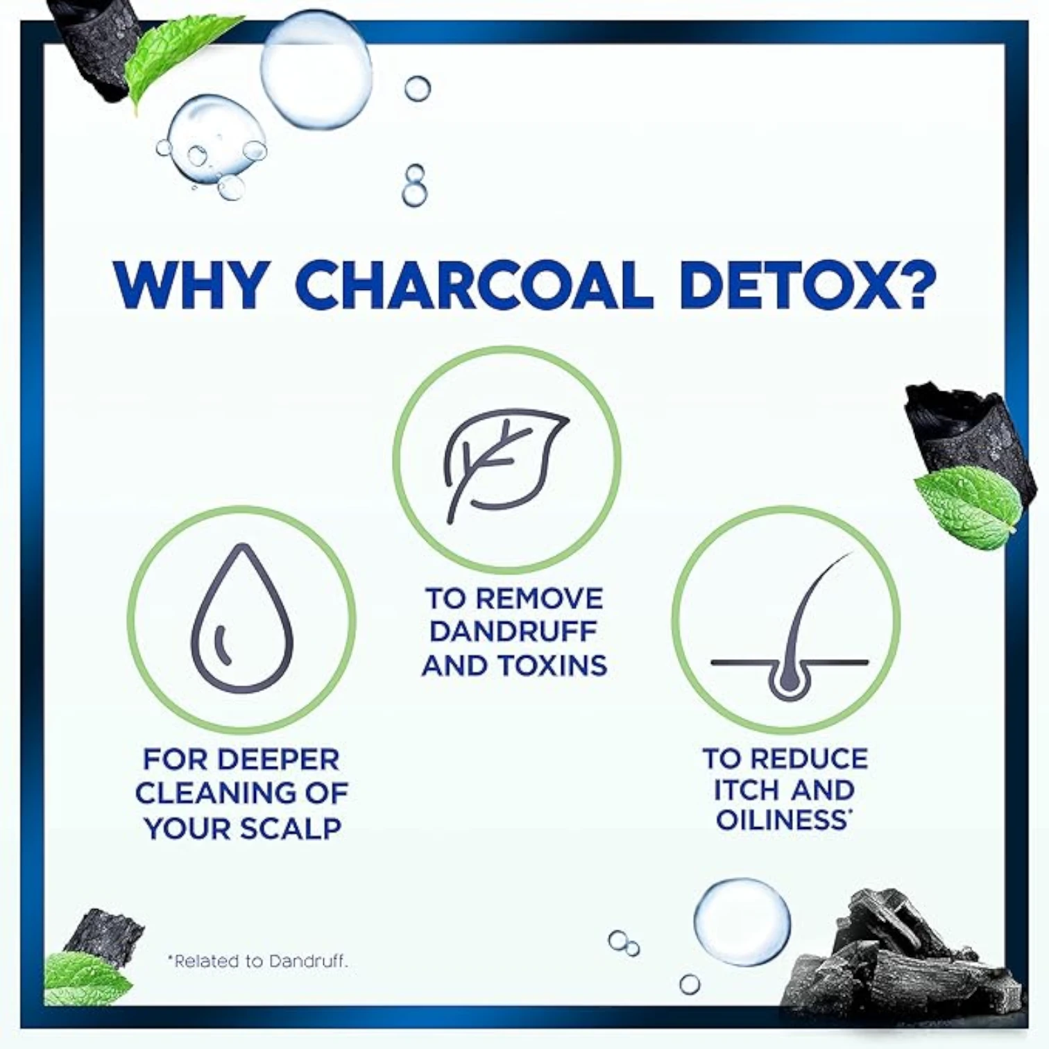 Head & Shoulders Charcoal Detox Anti-Dandruff Shampoo | Deep Clean for Oily Hair & Itchy Scalp | 100% Dandruff-Free | 2x400ml Dual Pack - Damoo