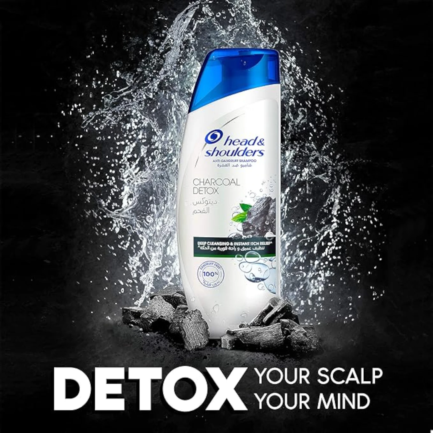 Head & Shoulders Charcoal Detox Anti-Dandruff Shampoo | Deep Clean for Oily Hair & Itchy Scalp | 100% Dandruff-Free | 2x400ml Dual Pack - Damoo