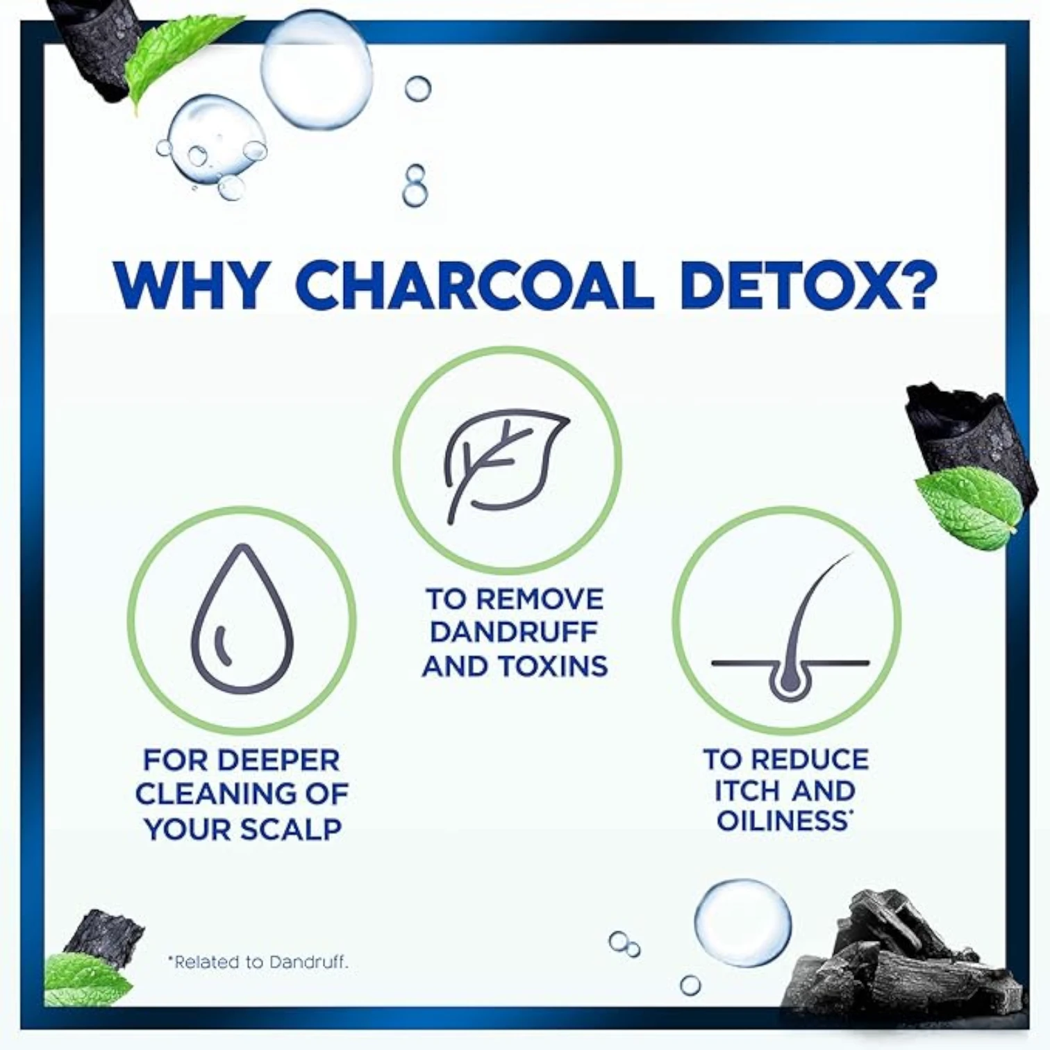 Head & Shoulders Charcoal Detox Anti-Dandruff Shampoo – Deep Scalp Cleanser with Activated Charcoal – Removes Dandruff, Toxins & Oil – 400ml - Damoo