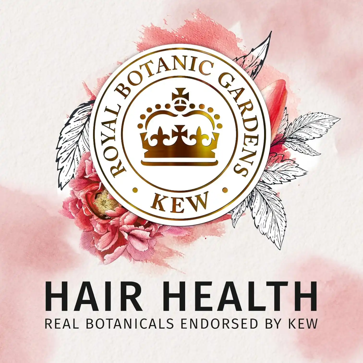 Herbal Essences Shampoo & Sulfate-Free Conditioner Kit – Arabica Coffee Fruit – 400ml Each – Hydrating, Paraben-Free, Color-Safe, Volumizing Hair Care for Fine Hair - Damoo