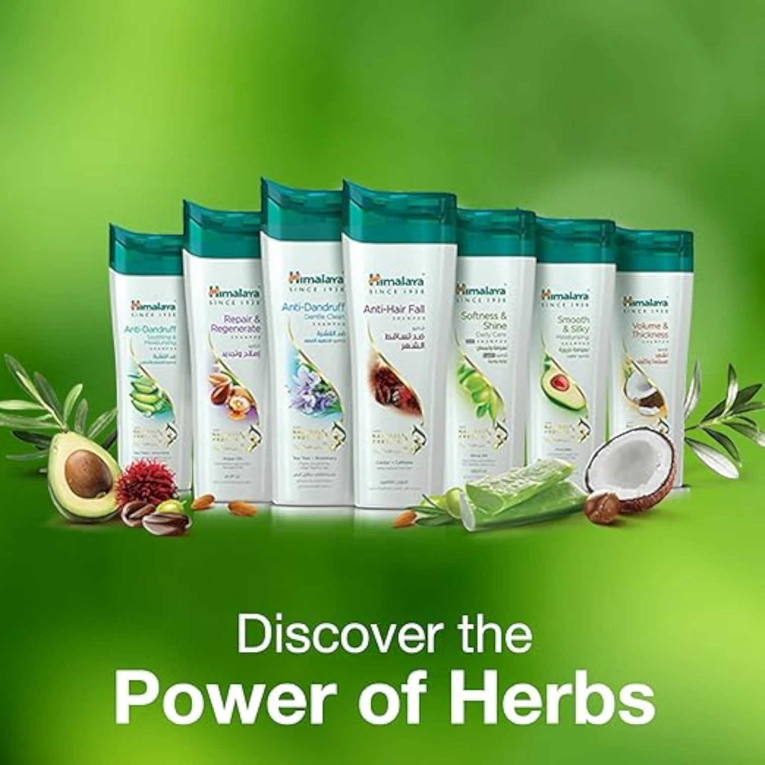 Himalaya Anti-Dandruff Gentle Clean Shampoo | With Tea Tree & Rosemary | Gently Cleanses & Moisturizes Hair & Scalp - Damoo