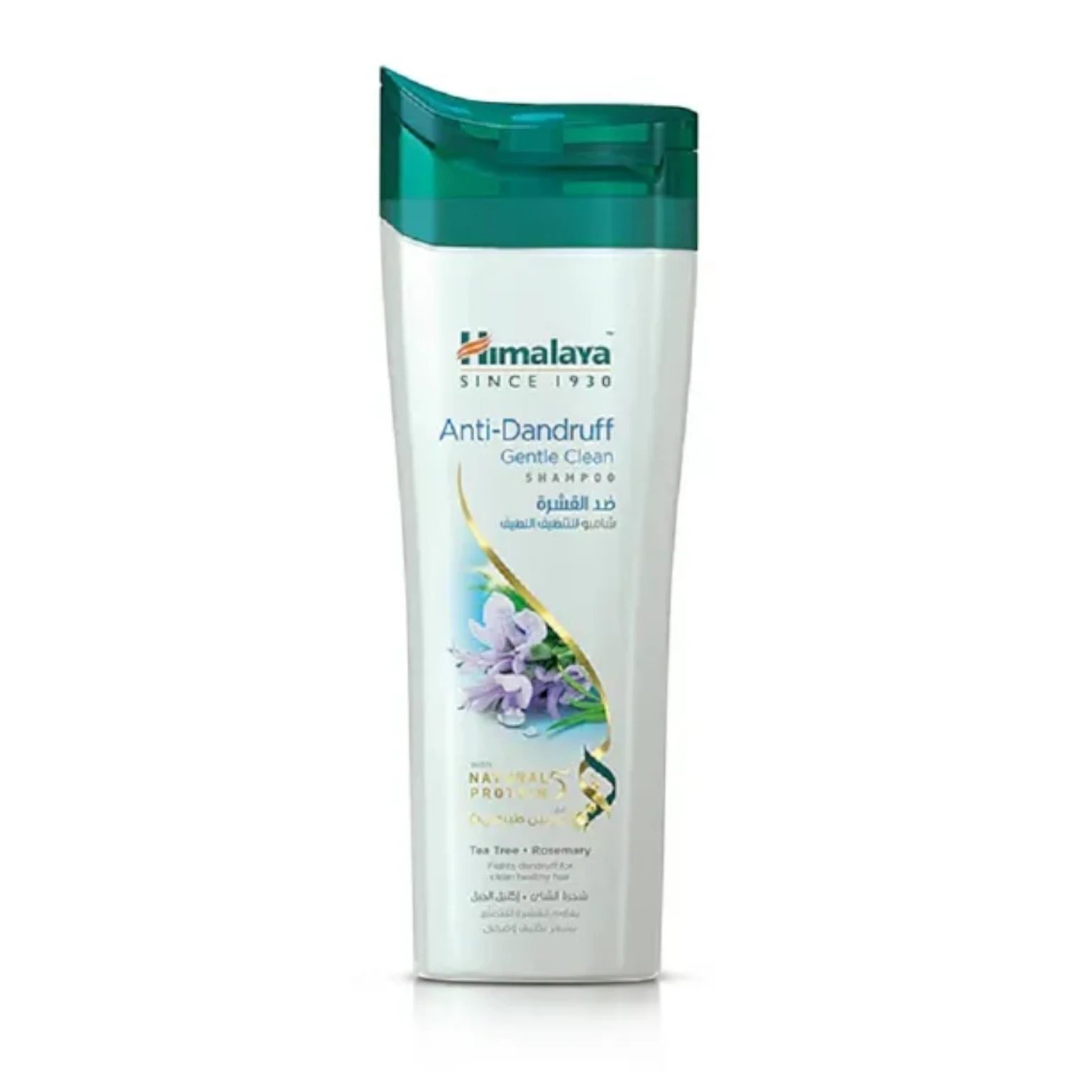 Himalaya Anti-Dandruff Gentle Clean Shampoo | With Tea Tree & Rosemary | Gently Cleanses & Moisturizes Hair & Scalp - Damoo