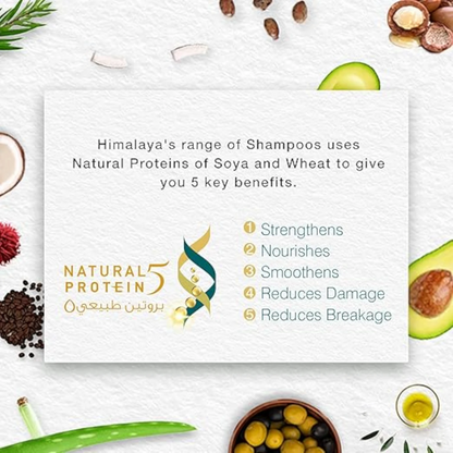 Himalaya Anti-Dandruff Gentle Clean Shampoo | With Tea Tree & Rosemary | Gently Cleanses & Moisturizes Hair & Scalp - Damoo