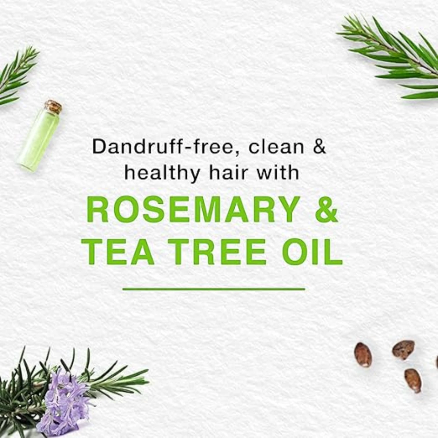 Himalaya Anti-Dandruff Gentle Clean Shampoo | With Tea Tree & Rosemary | Gently Cleanses & Moisturizes Hair & Scalp - Damoo