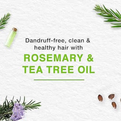 Himalaya Anti-Dandruff Gentle Clean Shampoo | With Tea Tree & Rosemary | Gently Cleanses & Moisturizes Hair & Scalp - Damoo