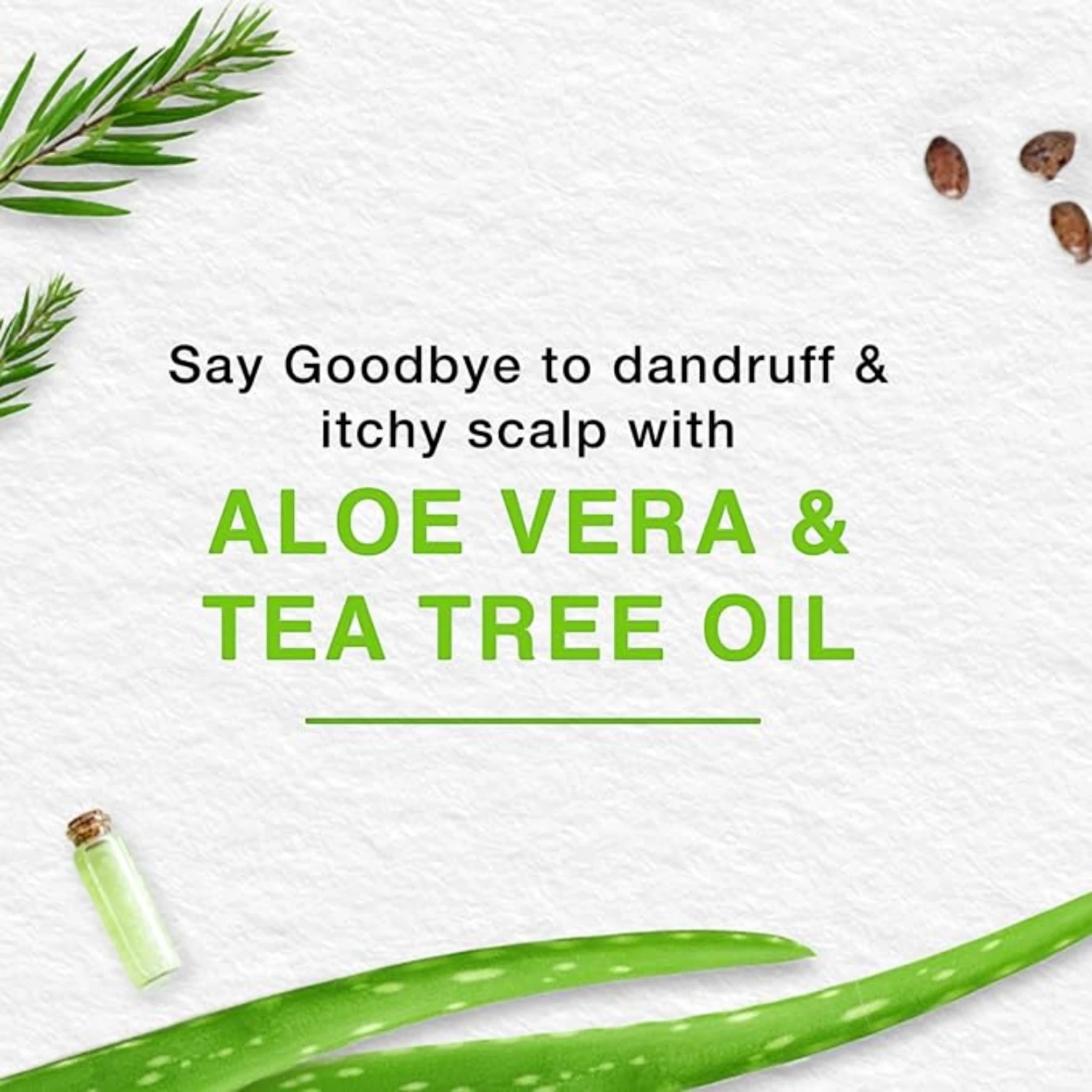 Himalaya Anti-Dandruff Soothing & Moisturizing Shampoo | With Tea Tree & Aloe Vera | Fights Dandruff & Itchy Scalp | Paraben-Free - Damoo