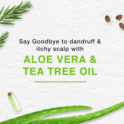 Himalaya Anti-Dandruff Soothing & Moisturizing Shampoo | With Tea Tree & Aloe Vera | Fights Dandruff & Itchy Scalp | Paraben-Free - Damoo