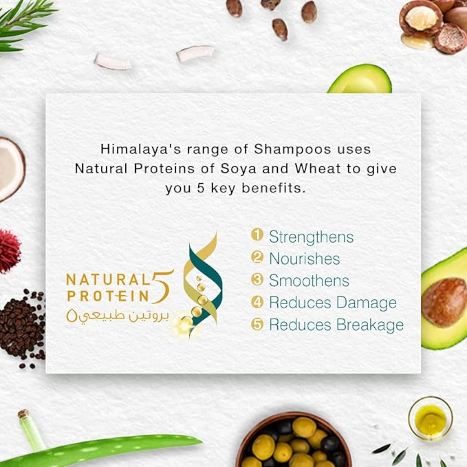 Himalaya Anti-Dandruff Soothing & Moisturizing Shampoo | With Tea Tree & Aloe Vera | Fights Dandruff & Itchy Scalp | Paraben-Free - Damoo