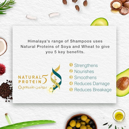Himalaya Anti-Dandruff Soothing & Moisturizing Shampoo | With Tea Tree & Aloe Vera | Fights Dandruff & Itchy Scalp | Paraben-Free - Damoo