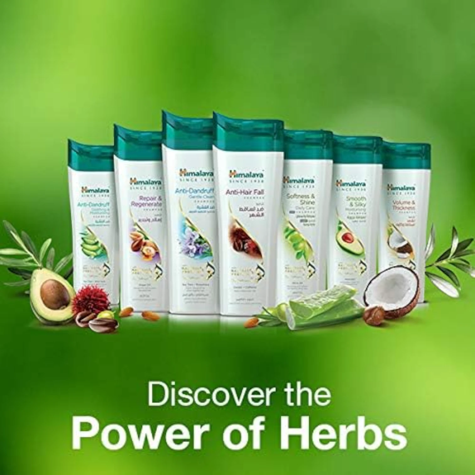 Himalaya Anti Hair Fall Shampoo | With Caffeine & Castor Oil | Reduces Hair Fall & Breakage | pH-Balanced, Paraben-Free - Damoo