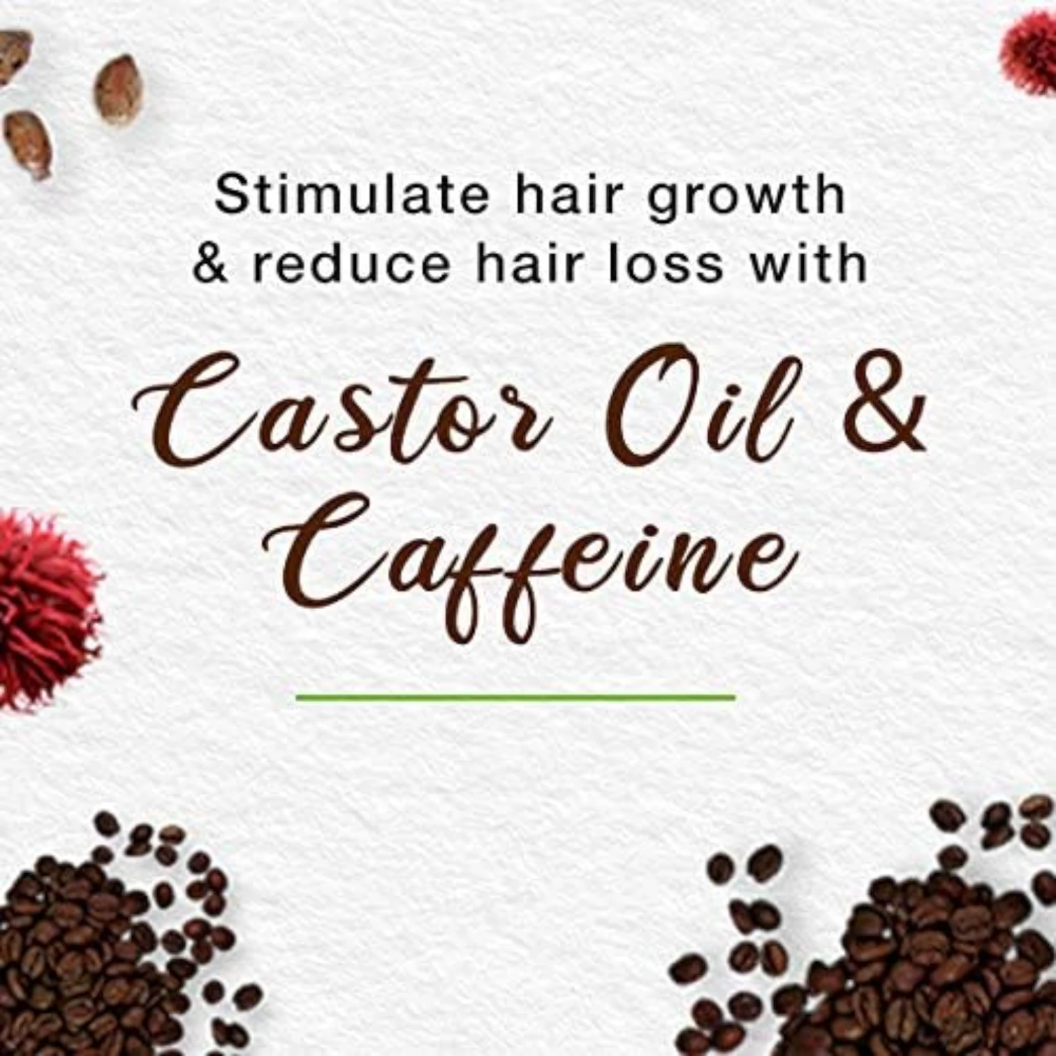 Himalaya Anti Hair Fall Shampoo | With Caffeine & Castor Oil | Reduces Hair Fall & Breakage | pH-Balanced, Paraben-Free - Damoo