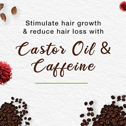 Himalaya Anti Hair Fall Shampoo | With Caffeine & Castor Oil | Reduces Hair Fall & Breakage | pH-Balanced, Paraben-Free - Damoo