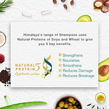 Himalaya Anti Hair Fall Shampoo | With Caffeine & Castor Oil | Reduces Hair Fall & Breakage | pH-Balanced, Paraben-Free - Damoo