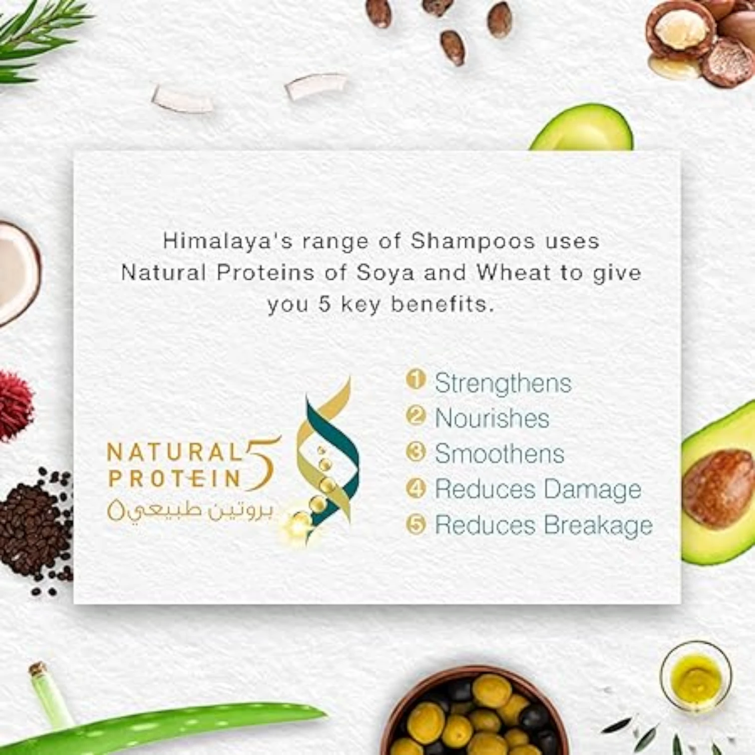 Himalaya Repair & Regenerate Shampoo| With Argan Oil | Strengthens & Revives Damaged Hair | Paraben-Free - Damoo