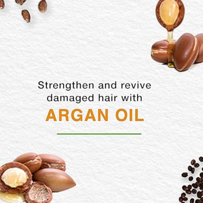 Himalaya Repair & Regenerate Shampoo| With Argan Oil | Strengthens & Revives Damaged Hair | Paraben-Free - Damoo
