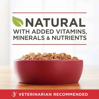 Purina ONE Wet Dog Food – Beef & Brown Rice Entrée Classic Ground – Real Beef #1 Ingredient – 368g Can - Damoo