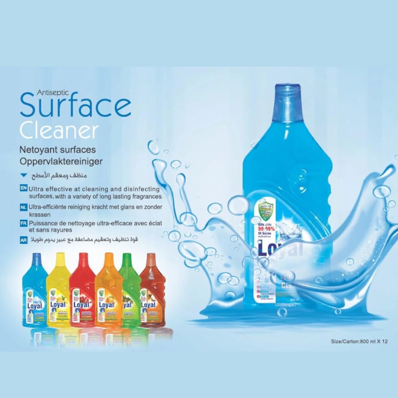 Loyal All-Purpose Surface Cleaner with Oud Scent – 800ml | 4-in-1 Formula | Kills 99.99% of Germs, Corona Virus & H1N1 | Antiseptic + Stain Remover + Surface Brightener - Damoo