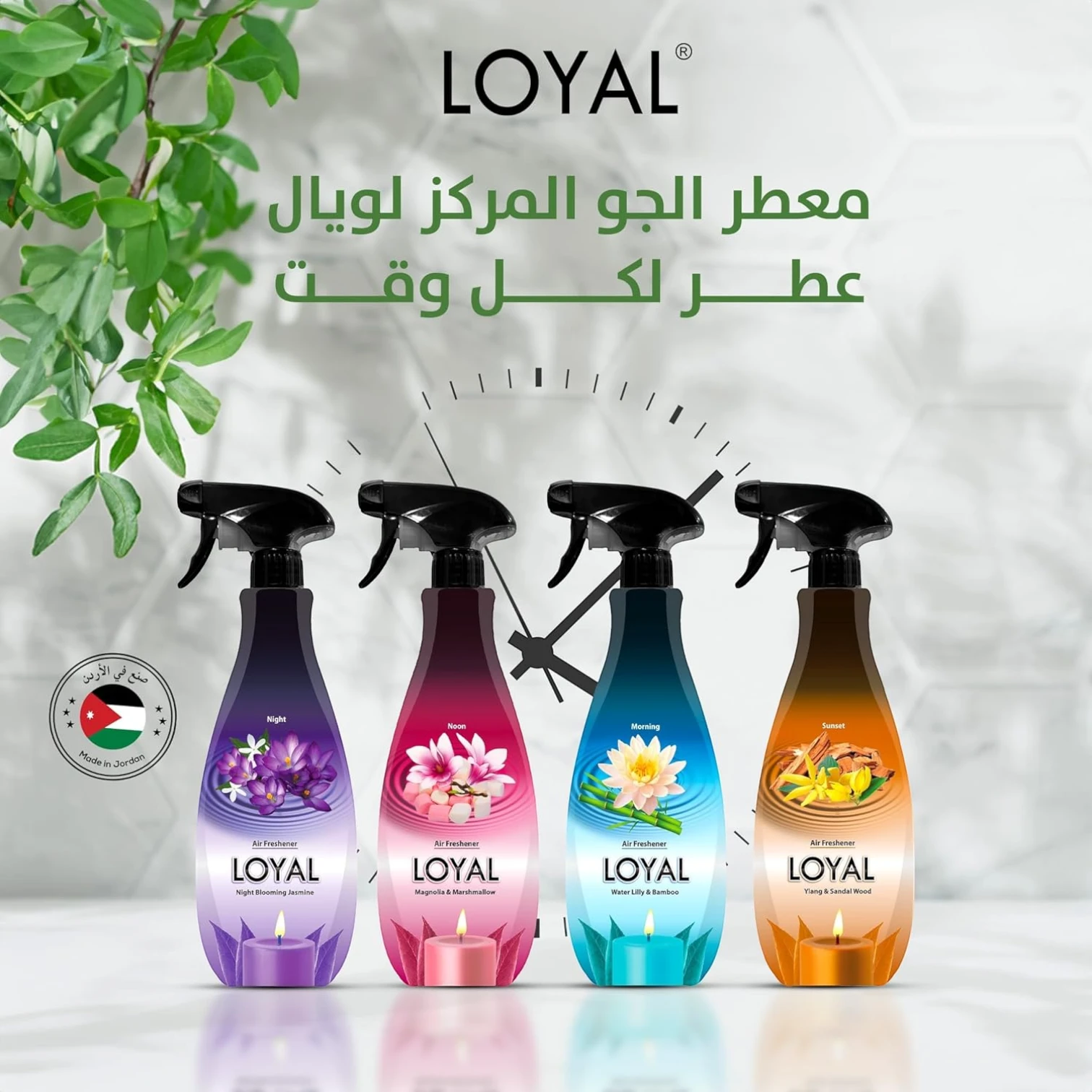 Loyal Concentratedx2 Air Freshener – Morning Vitality – 450ml | Long-Lasting Aromatherapy Spray for Fresh Mornings - Damoo