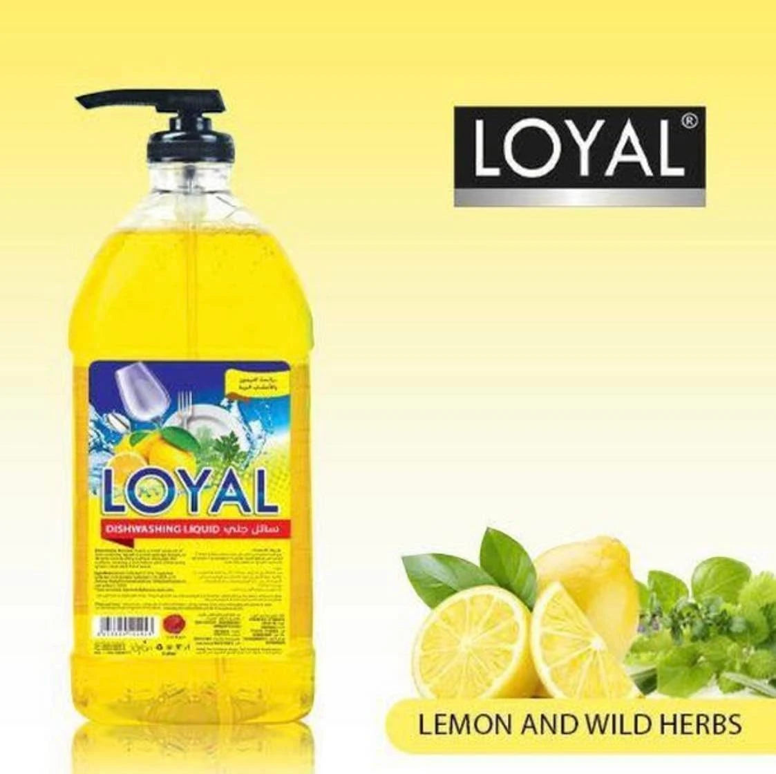 Loyal Dishwashing Liquid – Lemon & Wild Herbs Scent (2L) | Natural Formula, Tough on Grease, Gentle on Hands - Damoo