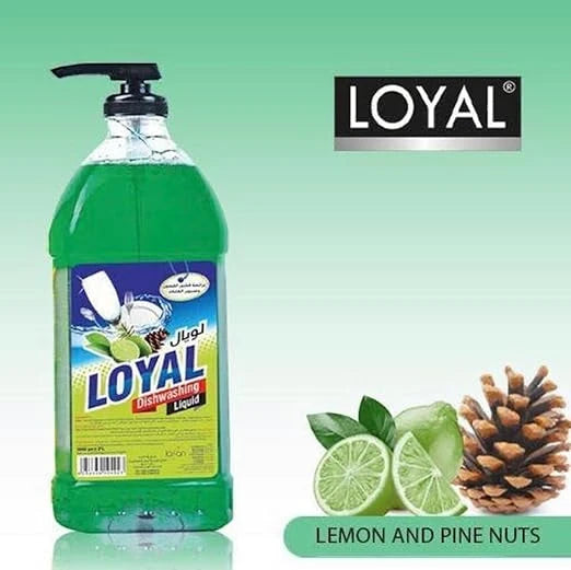 Loyal Dishwashing Liquid – Lemon Zest & Forest Pine Scent (2L) | Natural Formula, Deep Clean, Fresh Forest Fragrance - Damoo
