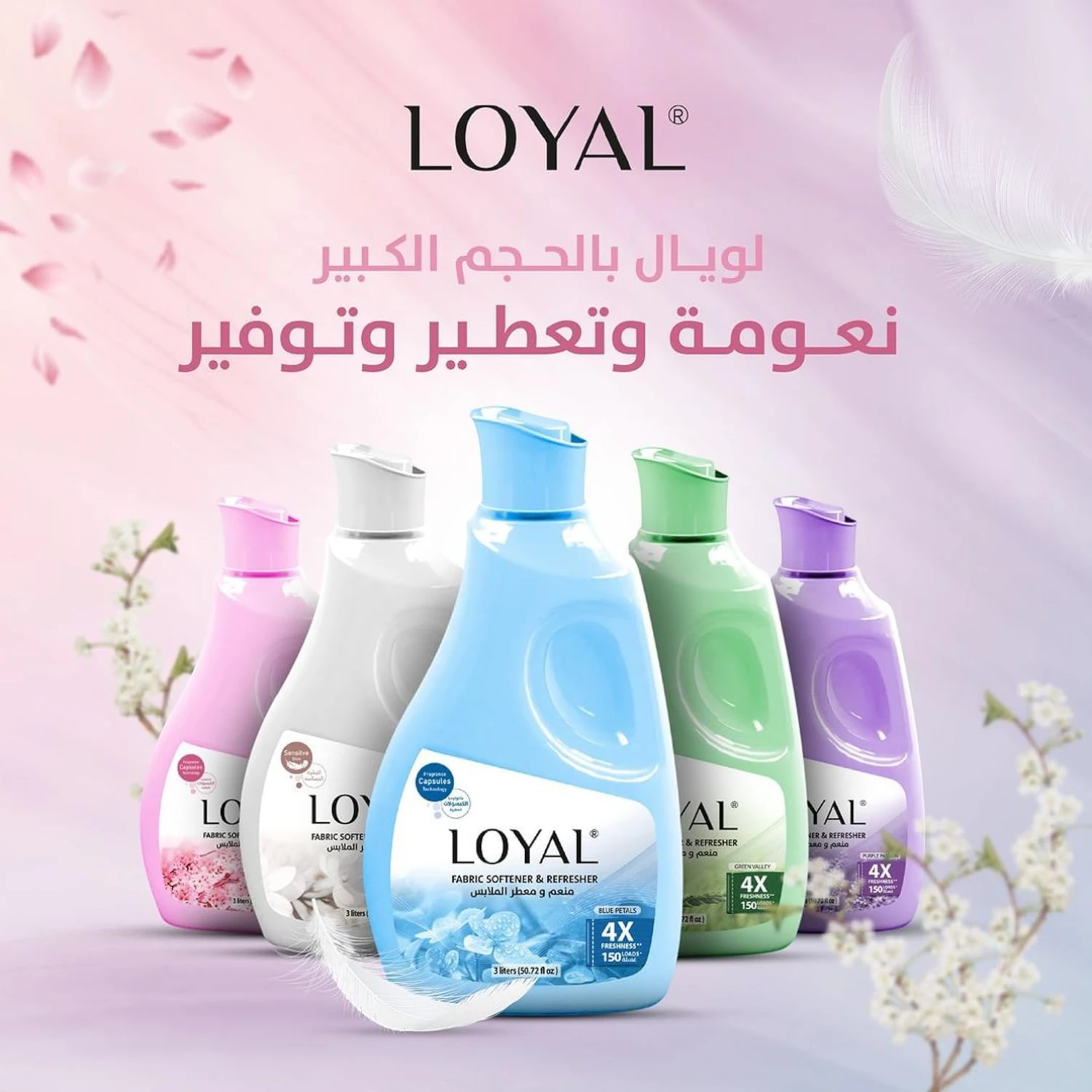 Loyal Fabric Softener & Freshener – Purple Passion Scent – 4X Freshness, Long-Lasting Fragrance Capsules, 3000ml (Up to 150 Loads) - Damoo