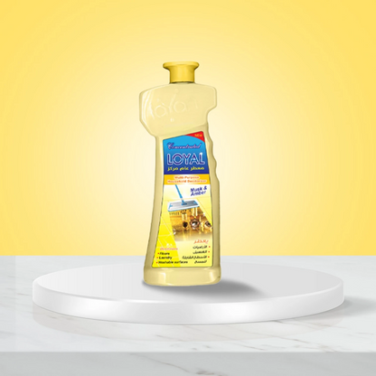 Loyal Multi-Purpose Deodorizer Gel – Musk & Amber, 2.1L | Earthy & Fruity Scented Concentrated Gel for Floors, Laundry & Surfaces, Odor Neutralizer - Damoo