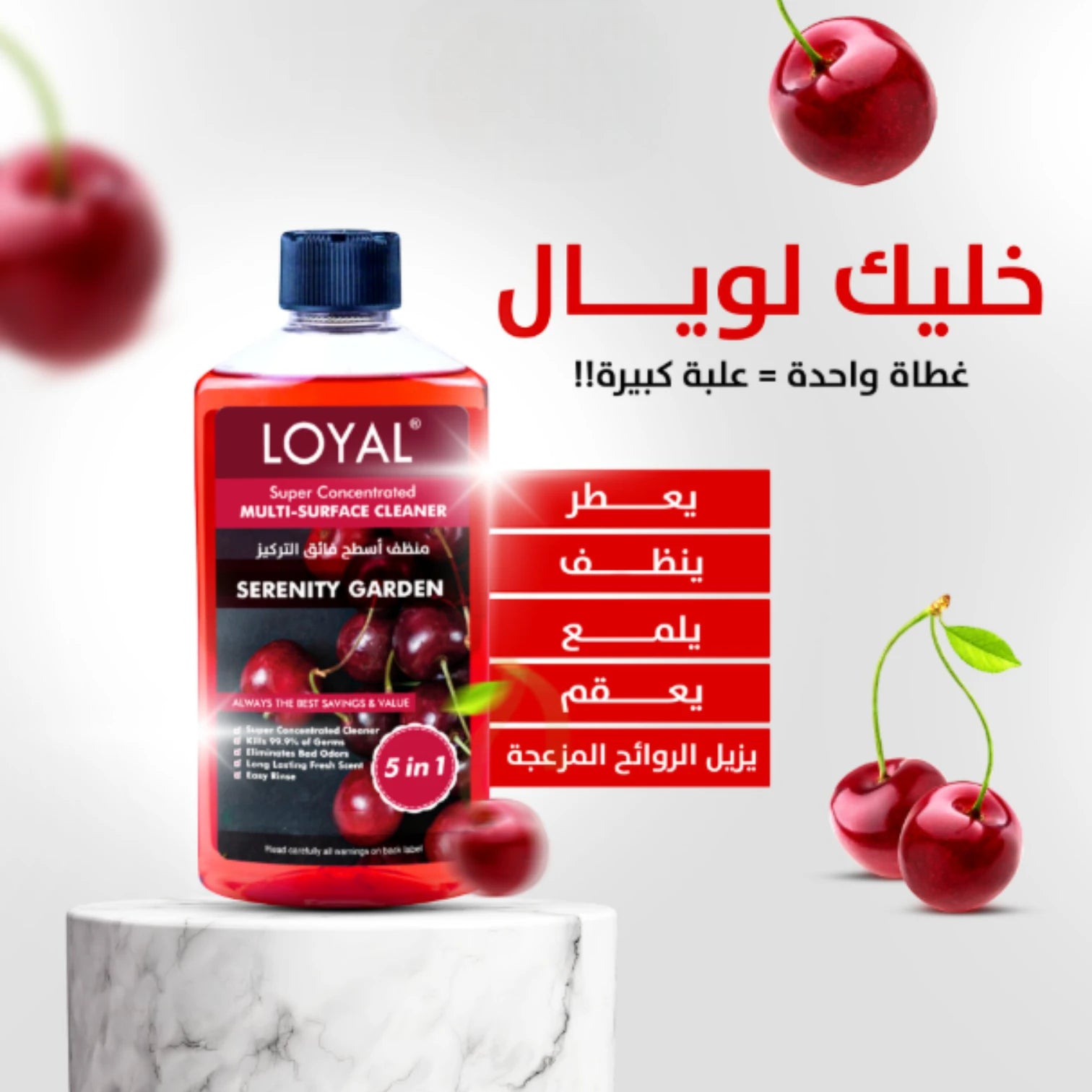 LOYAL Super Concentrated Deodorizer & Cleaner – Serenity Garden | 5-in-1 Multi-Surface Formula, Disinfects, Deodorises & Refreshes - Damoo