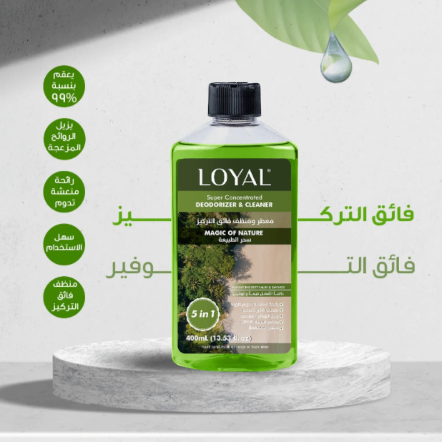 LOYAL Super Concentrated Deodorizer & Cleaner – Waves of Nature | 5-in-1 Multi-Surface Cleaner, Food-Safe, Powerful Odour Neutraliser - Damoo