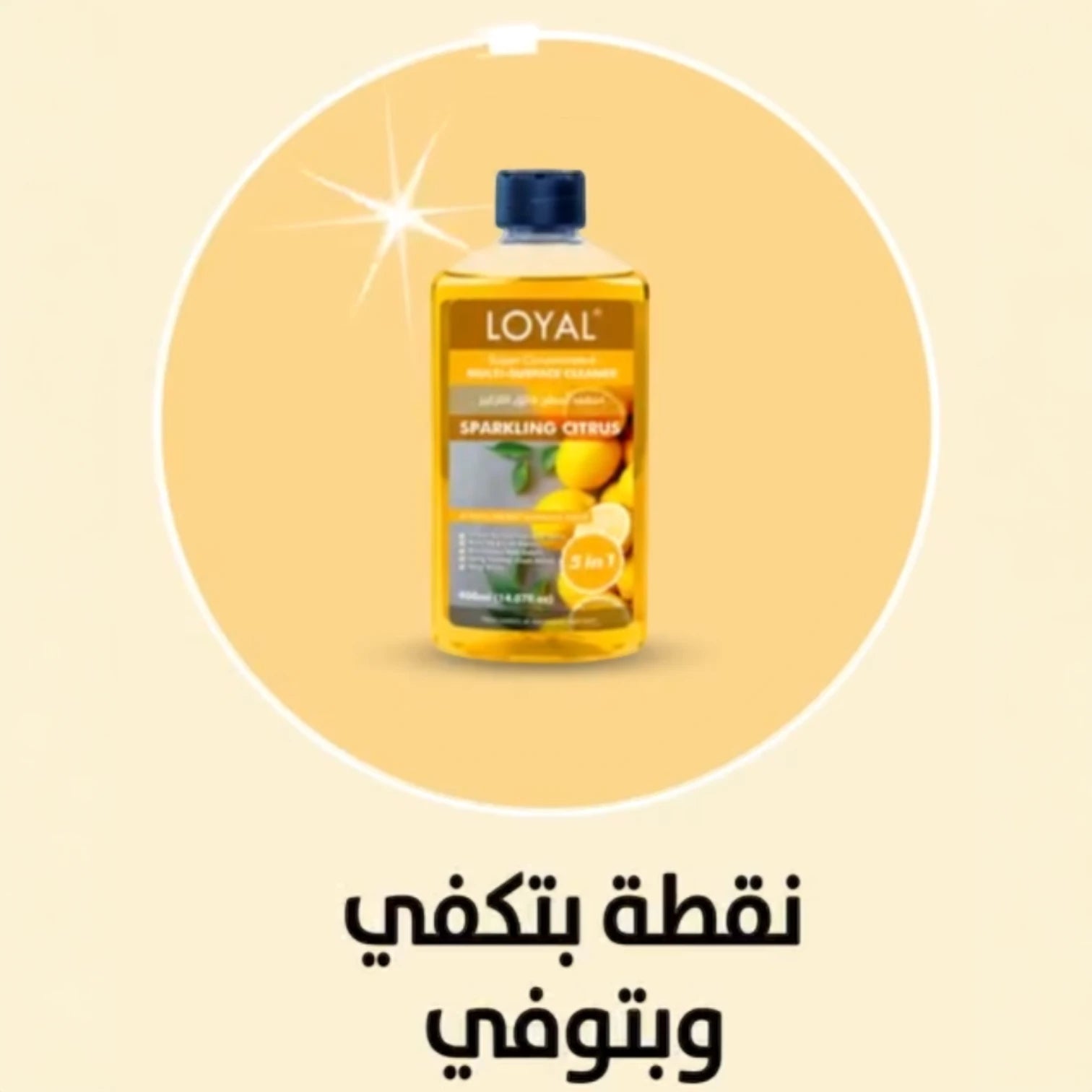 LOYAL Super Concentrated Deodorizer & Multi-Surface Cleaner – Sparkling Citrus | 5-in-1 Cleaner, Odour Neutraliser, Food-Safe, Long-Lasting Freshness - Damoo