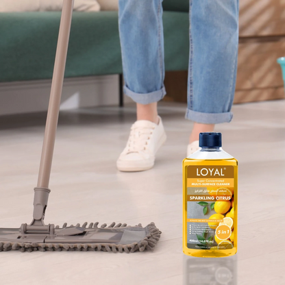 LOYAL Super Concentrated Deodorizer & Multi-Surface Cleaner – Sparkling Citrus | 5-in-1 Cleaner, Odour Neutraliser, Food-Safe, Long-Lasting Freshness - Damoo