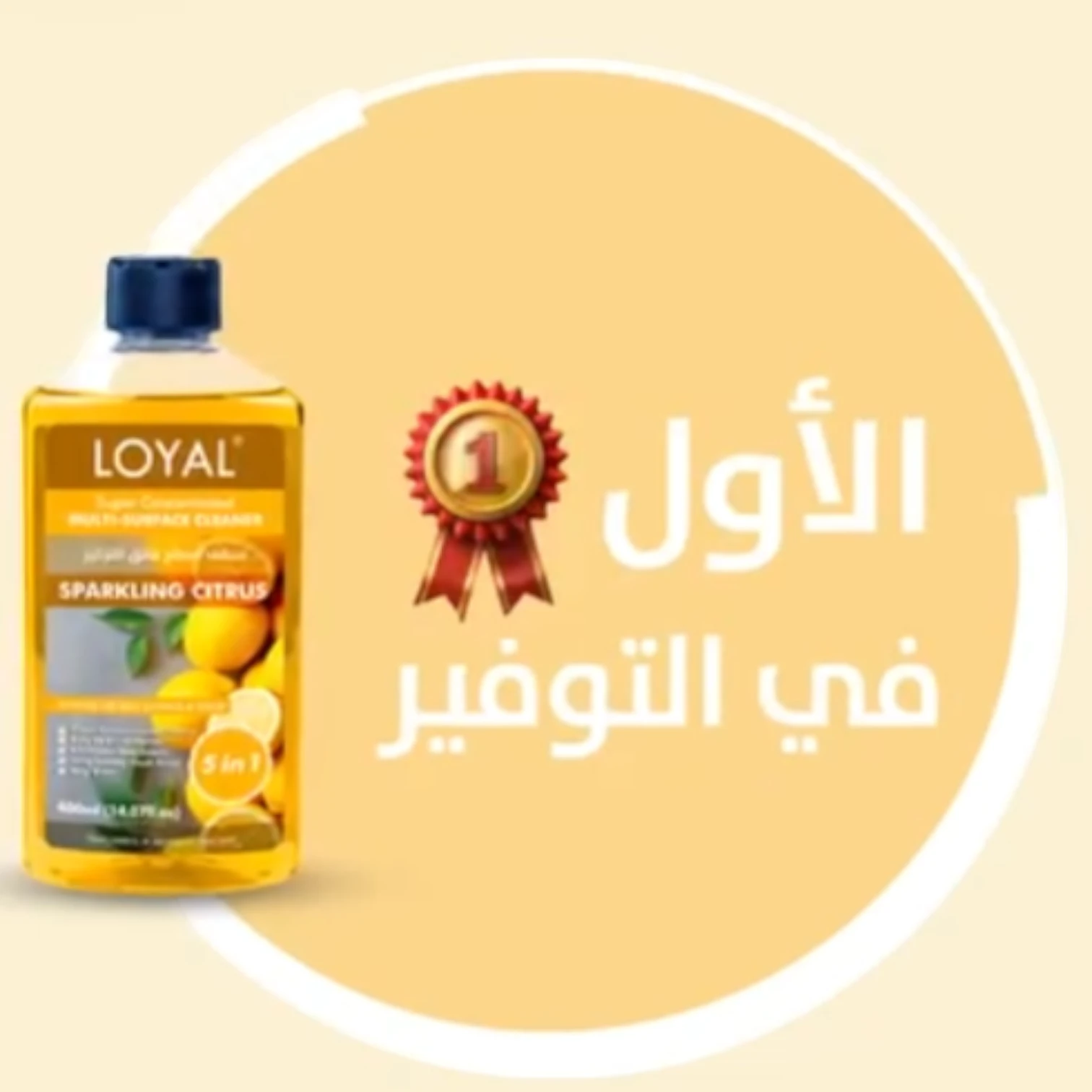 LOYAL Super Concentrated Deodorizer & Multi-Surface Cleaner – Sparkling Citrus | 5-in-1 Cleaner, Odour Neutraliser, Food-Safe, Long-Lasting Freshness - Damoo