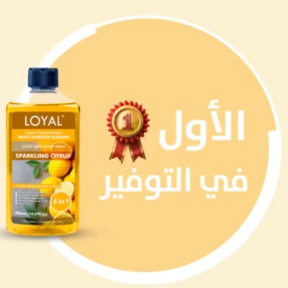 LOYAL Super Concentrated Deodorizer & Multi-Surface Cleaner – Sparkling Citrus | 5-in-1 Cleaner, Odour Neutraliser, Food-Safe, Long-Lasting Freshness - Damoo