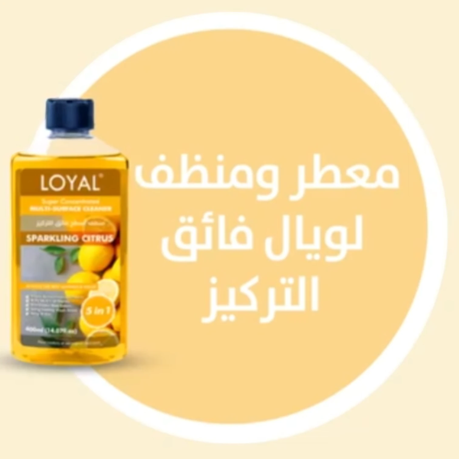 LOYAL Super Concentrated Deodorizer & Multi-Surface Cleaner – Sparkling Citrus | 5-in-1 Cleaner, Odour Neutraliser, Food-Safe, Long-Lasting Freshness - Damoo