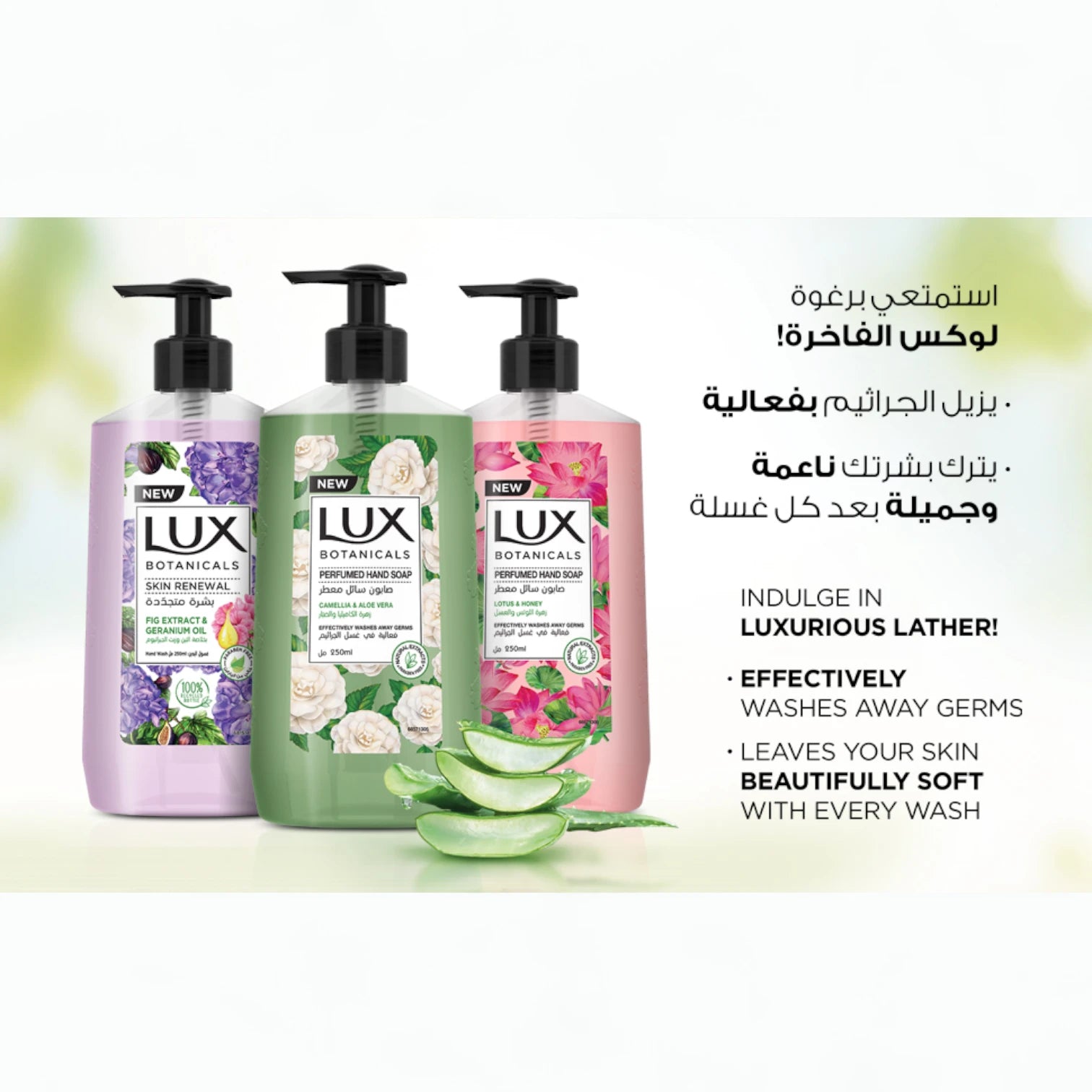 Lux Body Wash & Hand Wash Combo – Soft Rose with 4D Hyaluronic Acid 250ml + Botanicals Skin Detox Hand Wash with Camellia & Aloe Vera 240ml | Hydrating & Purifying for All Skin Types - Damoo