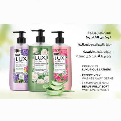 Lux Body Wash & Hand Wash Combo – Soft Rose with 4D Hyaluronic Acid 250ml + Botanicals Skin Detox Hand Wash with Camellia & Aloe Vera 240ml | Hydrating & Purifying for All Skin Types - Damoo