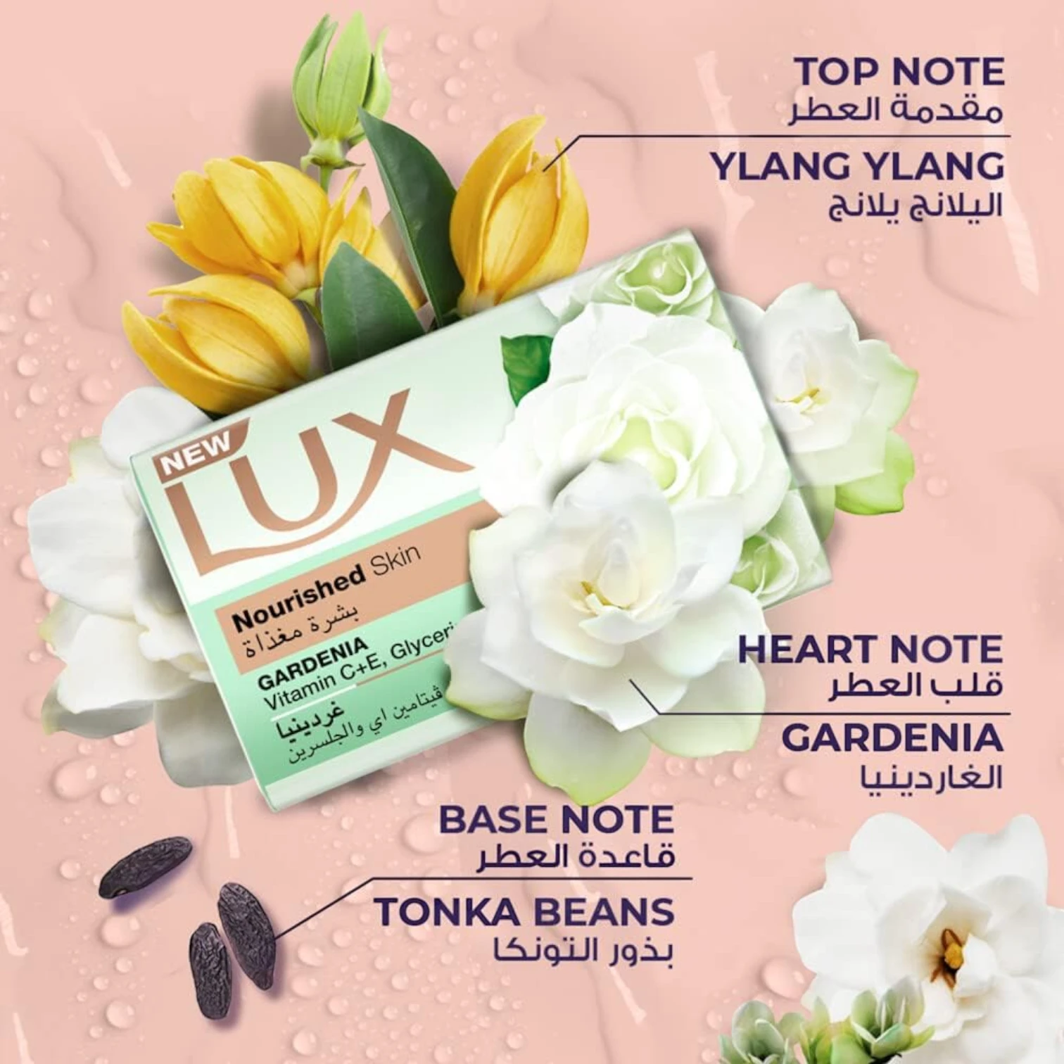 LUX Nourished Skin Bar Soap  170g x 6 Pack – Gardenia Scent, with Vitamin C, E & Glycerine - Damoo
