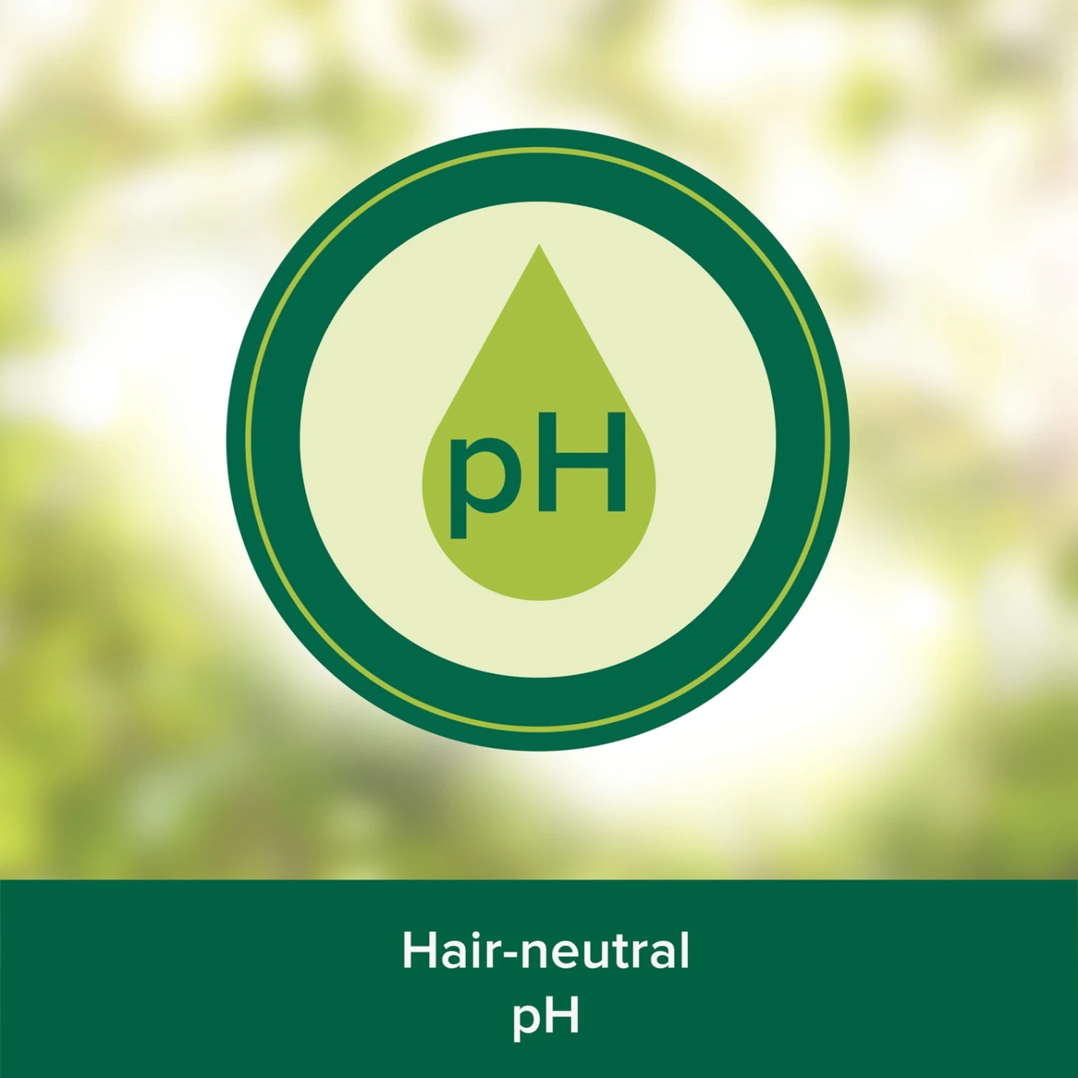 Palmolive Naturals 2 in 1 Shampoo, Nourish & Strengthen with Natural Ingredients, For Soft & Smooth Hair, 380ml - Damoo