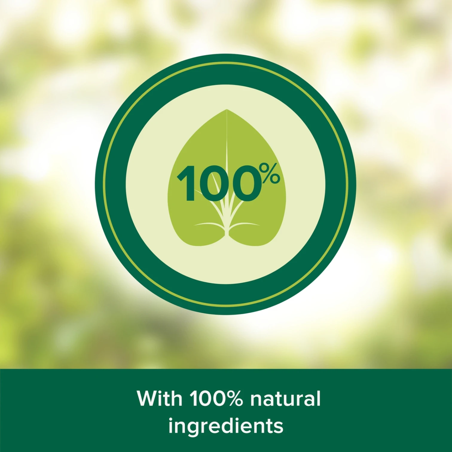 Palmolive Naturals 2 in 1 Shampoo, Nourish & Strengthen with Natural Ingredients, For Soft & Smooth Hair, 380ml - Damoo