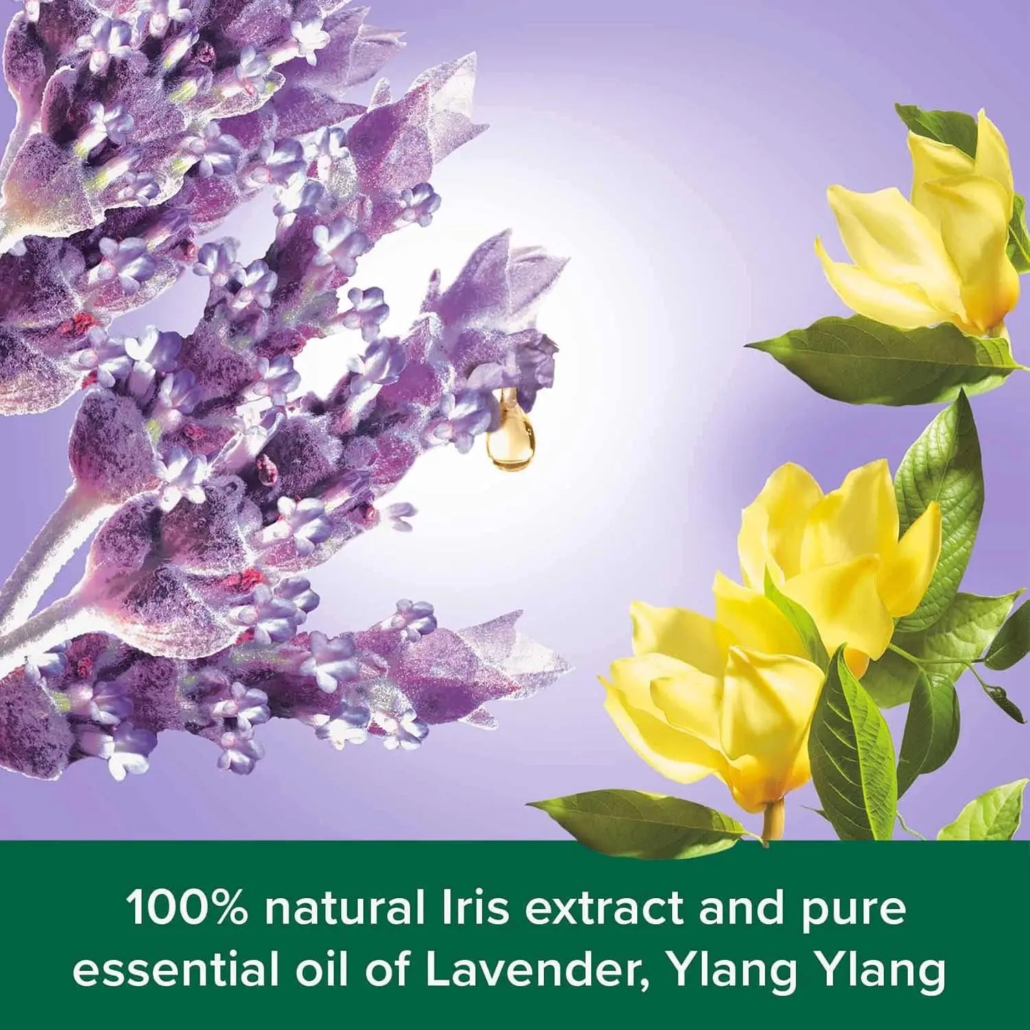 Palmolive Shower Gel Aroma Sensations So Relaxed, 500ml + 250ml | Lavender & Essential Oil, Relaxing Body Wash Value Pack - Damoo