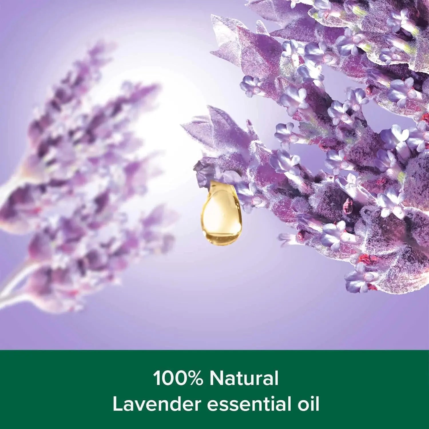 Palmolive Shower Gel Aroma Sensations So Relaxed, 500ml + 250ml | Lavender & Essential Oil, Relaxing Body Wash Value Pack - Damoo