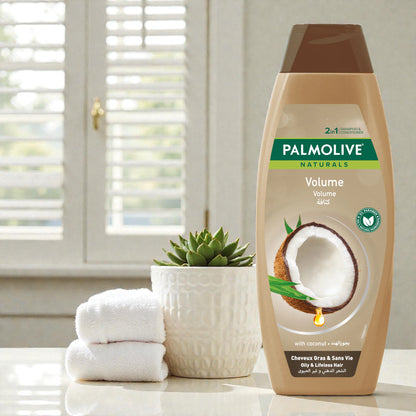 Palmolive Naturals Shampoo 380ml – Available in 3 Variants: Color Shine Pomegranate, Volume Coconut, Santé & Brilliance Black Seed - Damoo