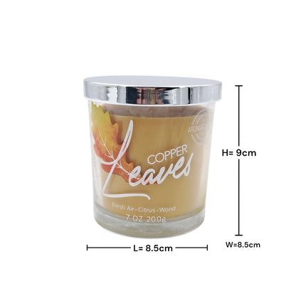 Scented Glass Jar Candle with Lid, Aromatherapy Candle for Home Fragrance, Long Lasting Decorative Candle (9H x 8.5L × 8.5W CM) - Damoo